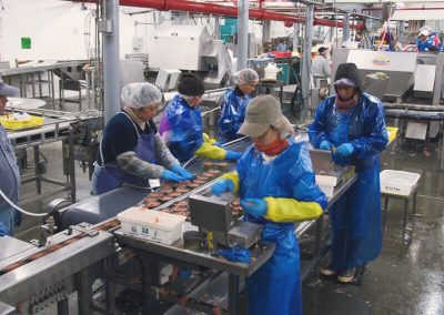 2014 | Fish Oil Plant Automation